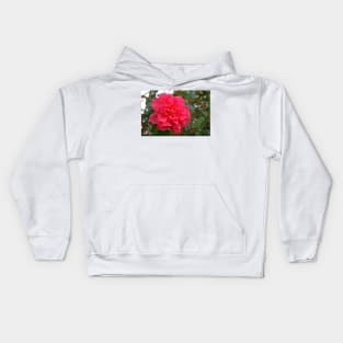 Camellia Kids Hoodie